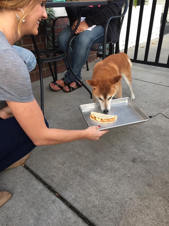 puptaco.jpg
